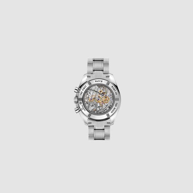 MOONWATCH PROFESSIONAL PROFESSIONAL 42 MM