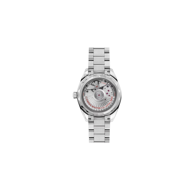 SEAMASTER AQUA TERRA SHADES