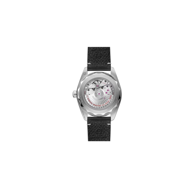 SEAMASTER RAILMASTER